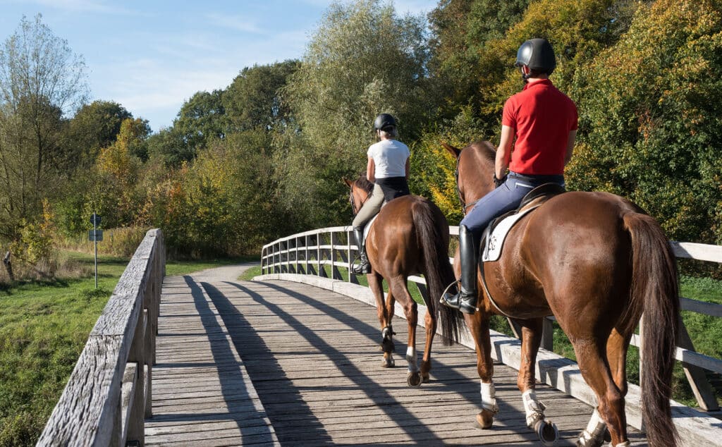 Horse ride for two - horses - wooden bridge
