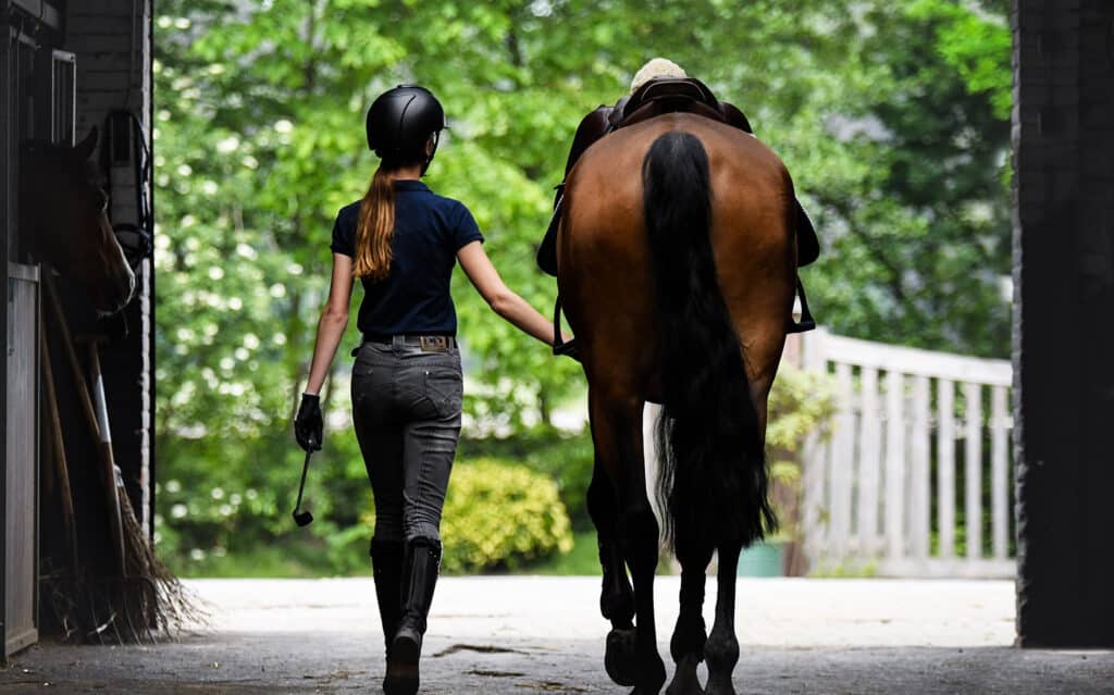 The back of the rider, walking towards the exit with her horse b