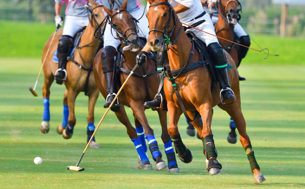 Selective focus the Horse Polo players are competing in the field.